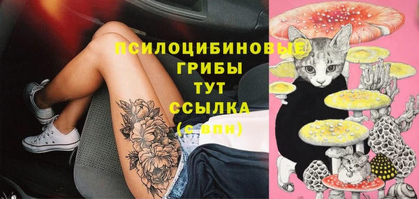 прущая мука Санкт-Петербург